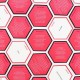 Joc Hexagon 10 Cues, Ginger Fox