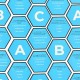 Joc Hexagon Best Guess, Ginger Fox